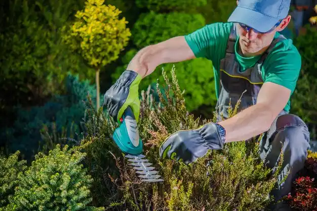 landscaping services Green Ridge